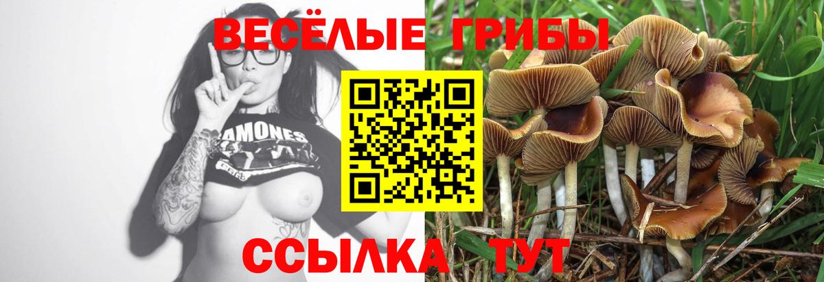 Гагарин  Псилоцибиновые грибы MAGIC MUSHROOMS  Галлюциногенные грибы GOLDEN TEACHER  Вход с VPN 
